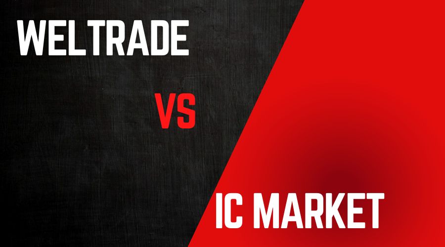 Weltrade vs IC Markets Comparison: The Ultimate Forex Broker Showdown 1 weltrade vs IC Markets comparison